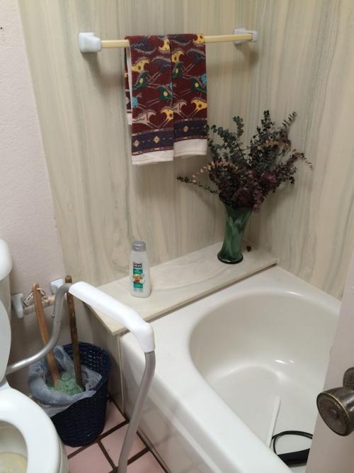 Bathroom Remodel #2 - Before