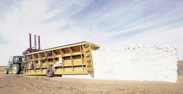 Cotton gin era may be near an end  