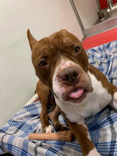 Adopt a friend: Cousin Eddie