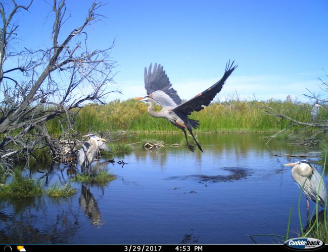 University of Arizona Science