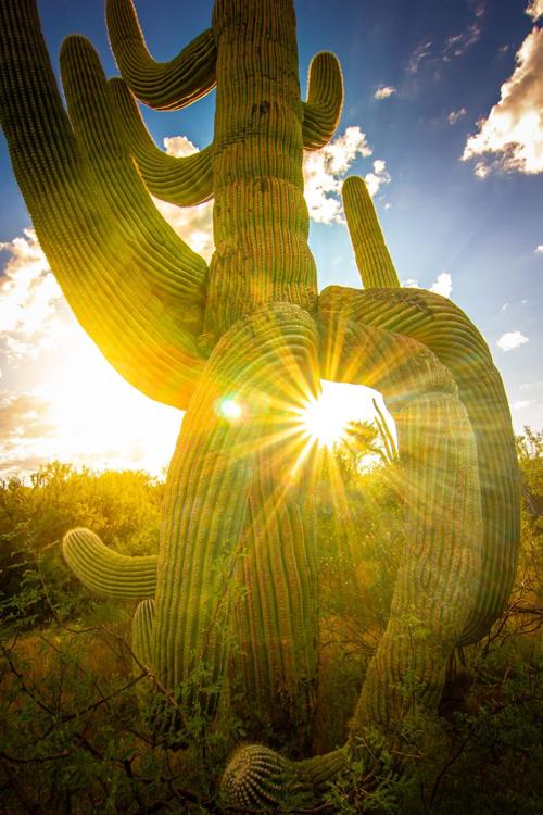 Let The Sun Shine In!