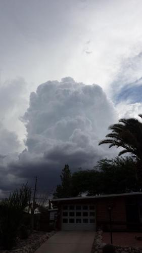 Reader photos: Tucson monsoon rain July 20, 2013