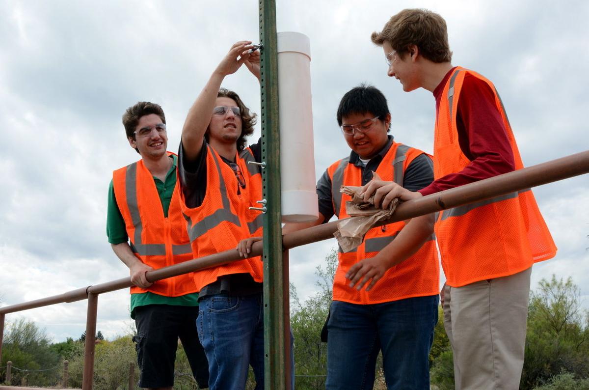Dog waste bag dispenser