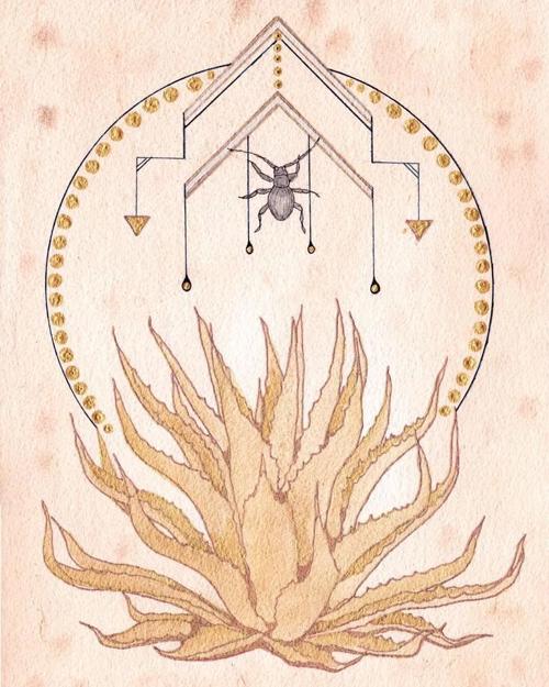 Art Opening: Gina Beca