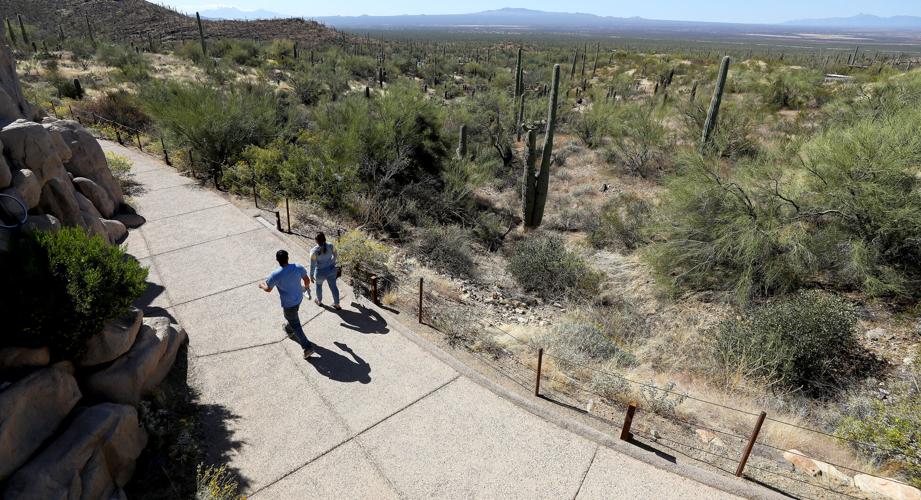Arizona-Sonora Desert Museum (le)