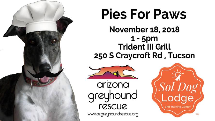 Pies for paws