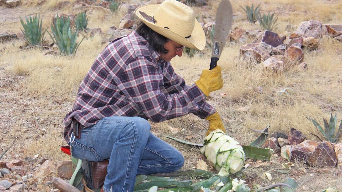 Tucson Gardening and home April 2228