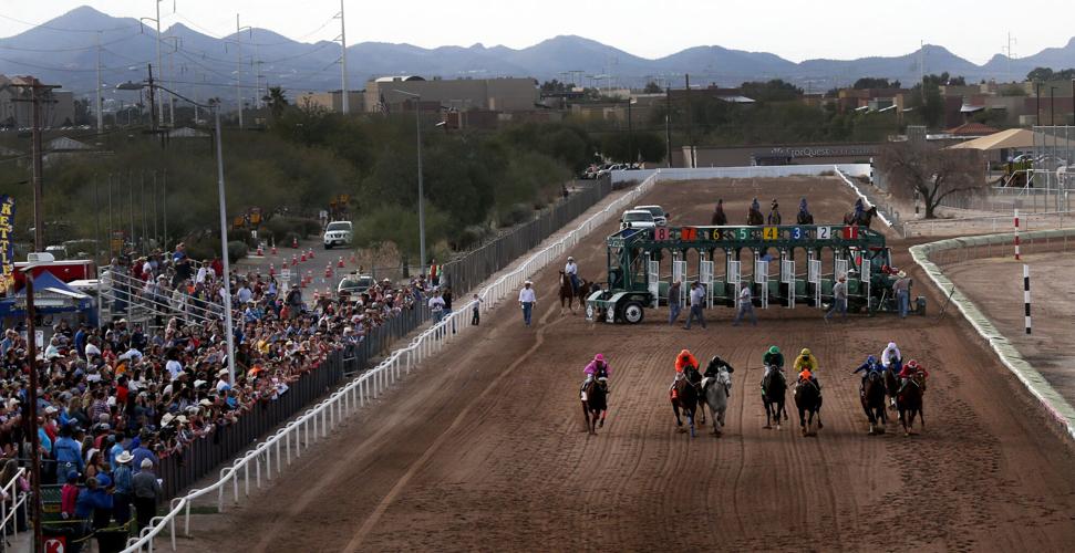 032722-tuc-spt-horsedeaths-p2