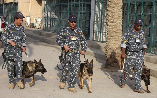 More bomb-sniffing dogs headed to Iraq   
