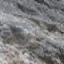 Seen A Creature Like This In Catalinas You Just May Environment Tucson Com