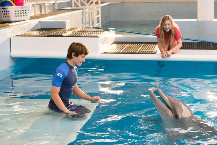 'Dolphin Tale 2'