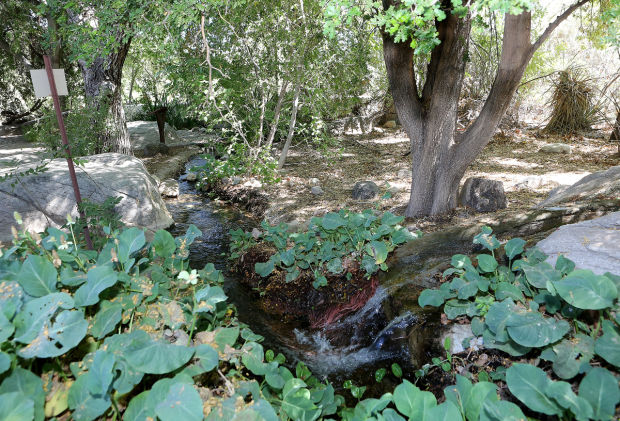 Mellow desert oasis beckons    