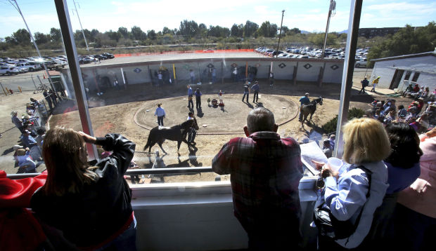 Horse racing at Rillito Race Track