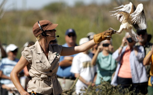 The Arizona-Sonora Desert Museum at 60 years old