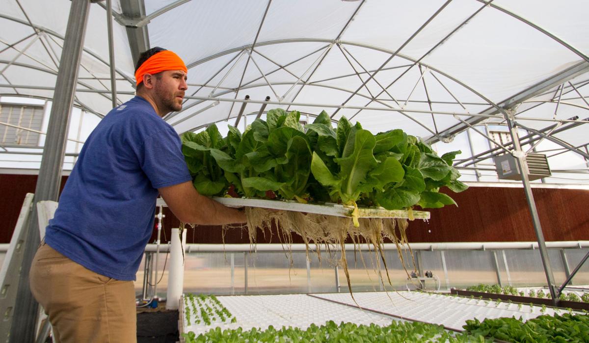 Tucson Business Aims To Harvest Produce Deliver The Same Day