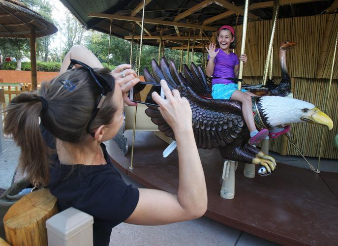 Reid Park Zoo carousel