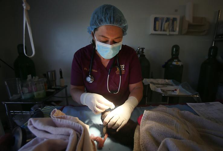 Pima Animal Care Center