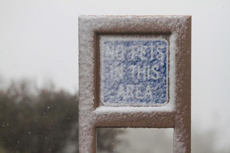 Snowfall in Arizona, California