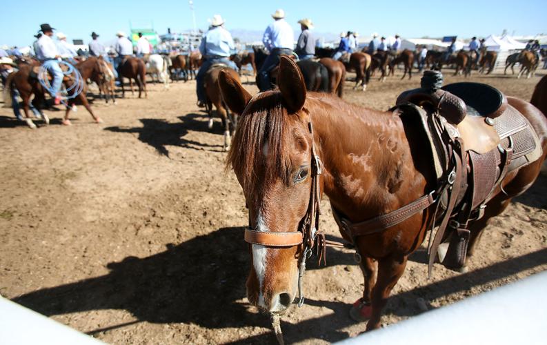 La Fiesta de los Vaqueros