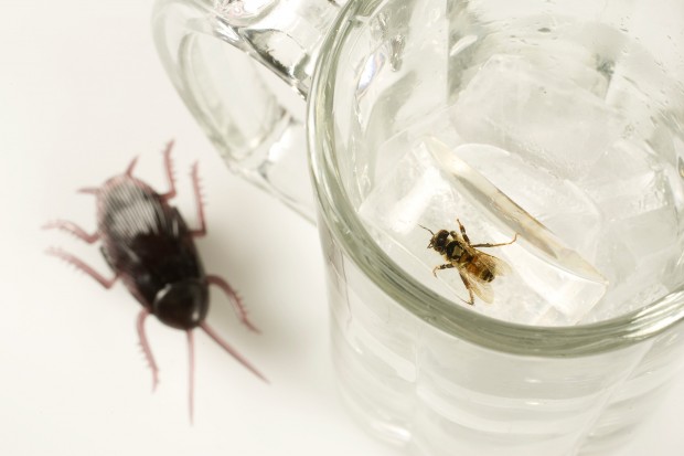 The art of the practical joke   