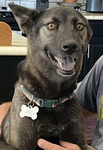 Winslow-cropped.jpg