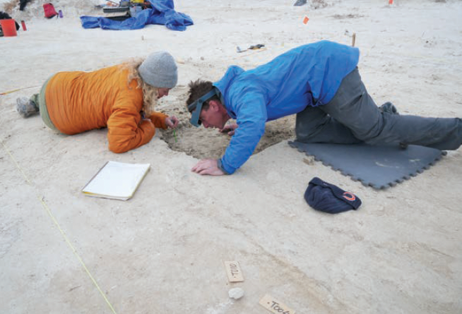 New U of A study follows in footsteps of major fossil find in New Mexico