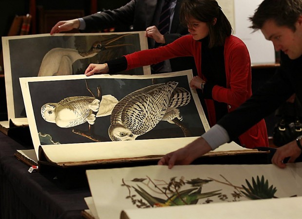 'Birds of America' sells for record $10.3M   