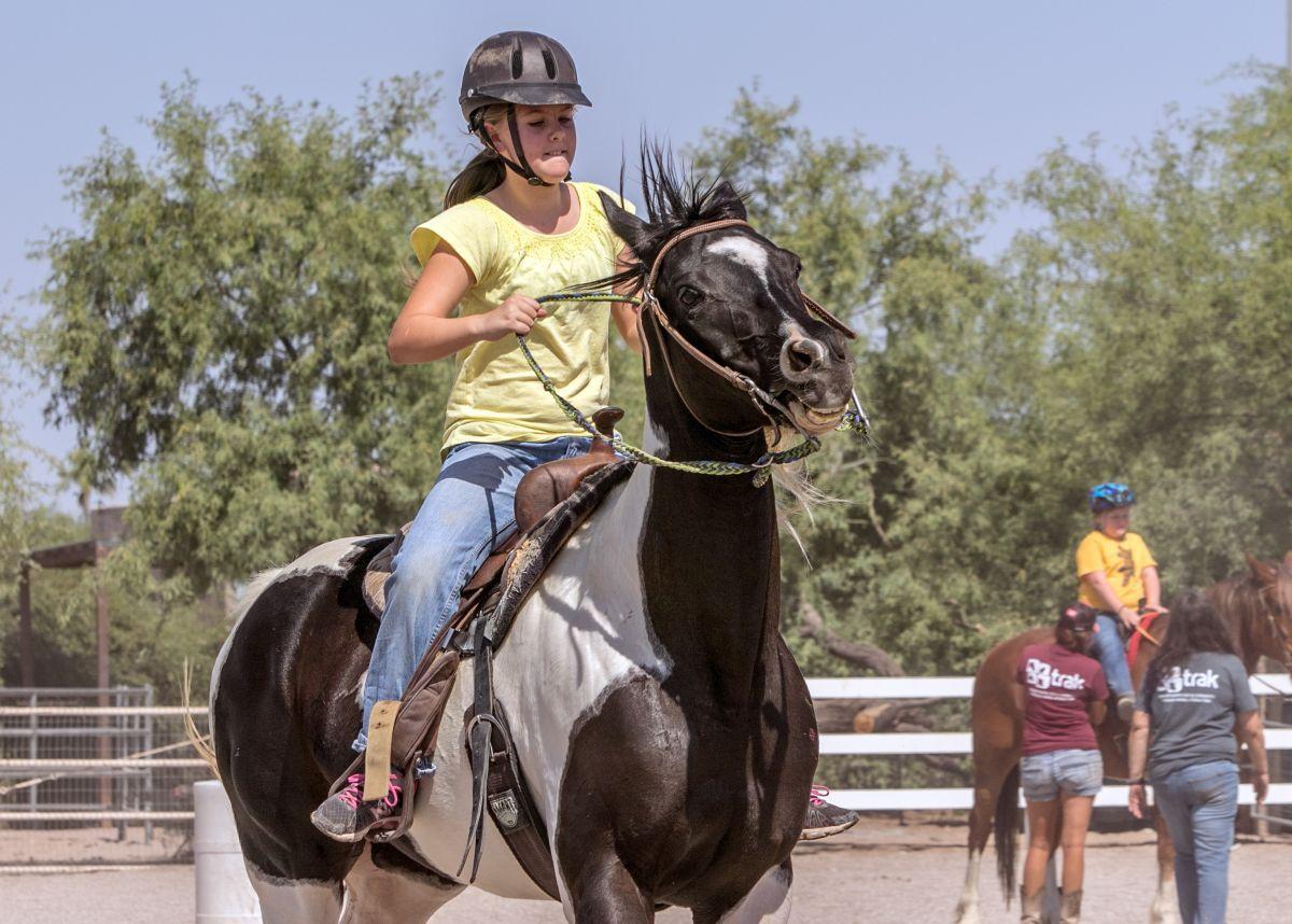 2 Tucson Horse Stables Settling In With Both In A Helping Mood