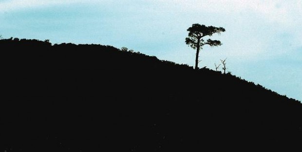 Pinal Mountains getaway: Canyon without crowds  