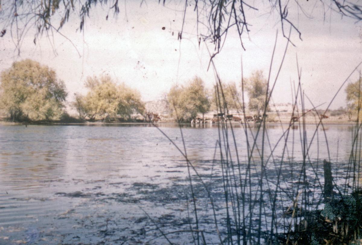 Ninety Years Of Riparian History To Be Restored At Canoa Lake Tucson Com