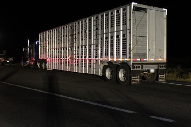 Trailer pot bust