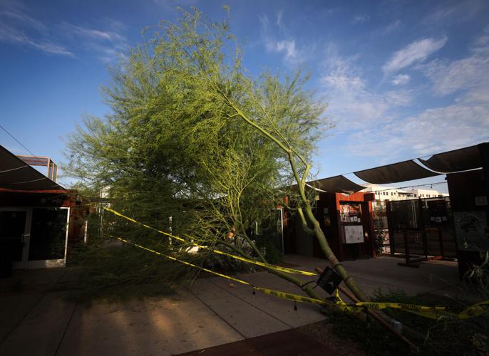 Monsoon Storm Damage at MSA Annex, 2023