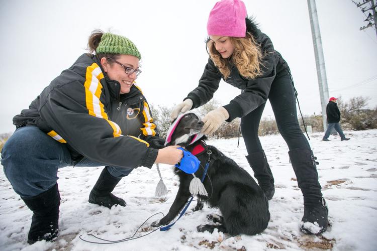 Snowfall in Arizona, California