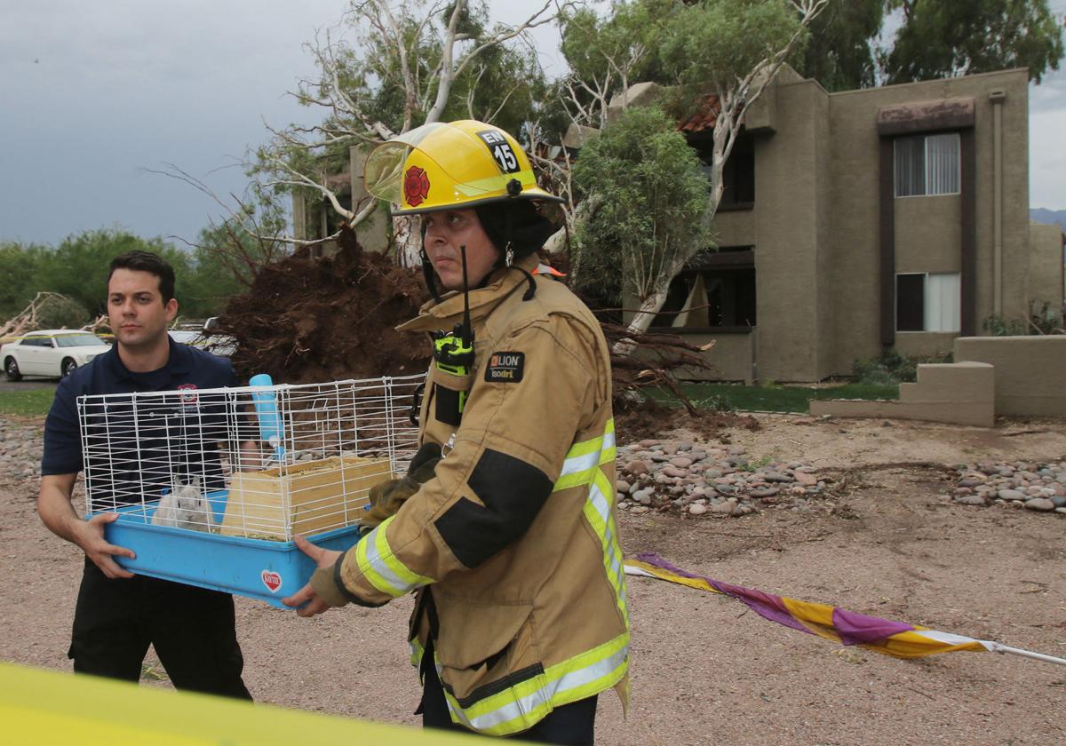 Microburst storm hits Tucson's east side, trees collapse at apartments