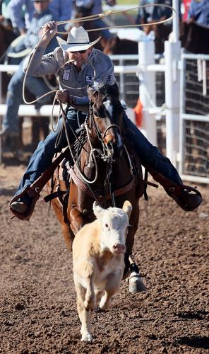 La Fiesta de los Vaqueros