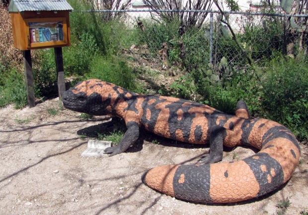 Tucson Oddity: Gila monster reading a book draws looks in Tucson neighborhood