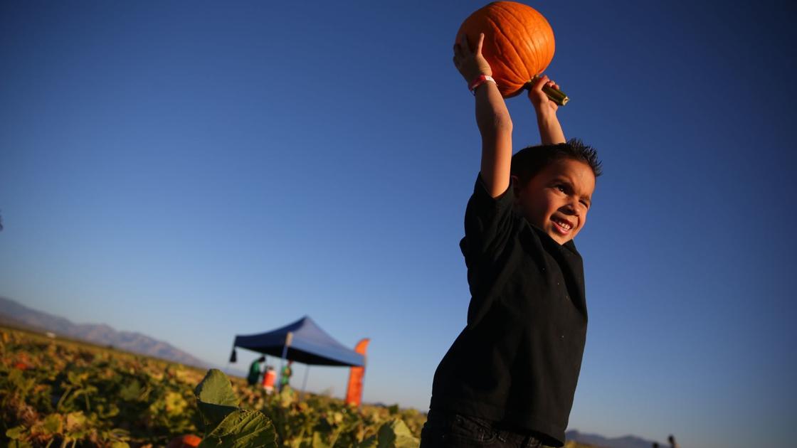 Things to do in Tucson: plant sales, Chappell dance party | to do ...