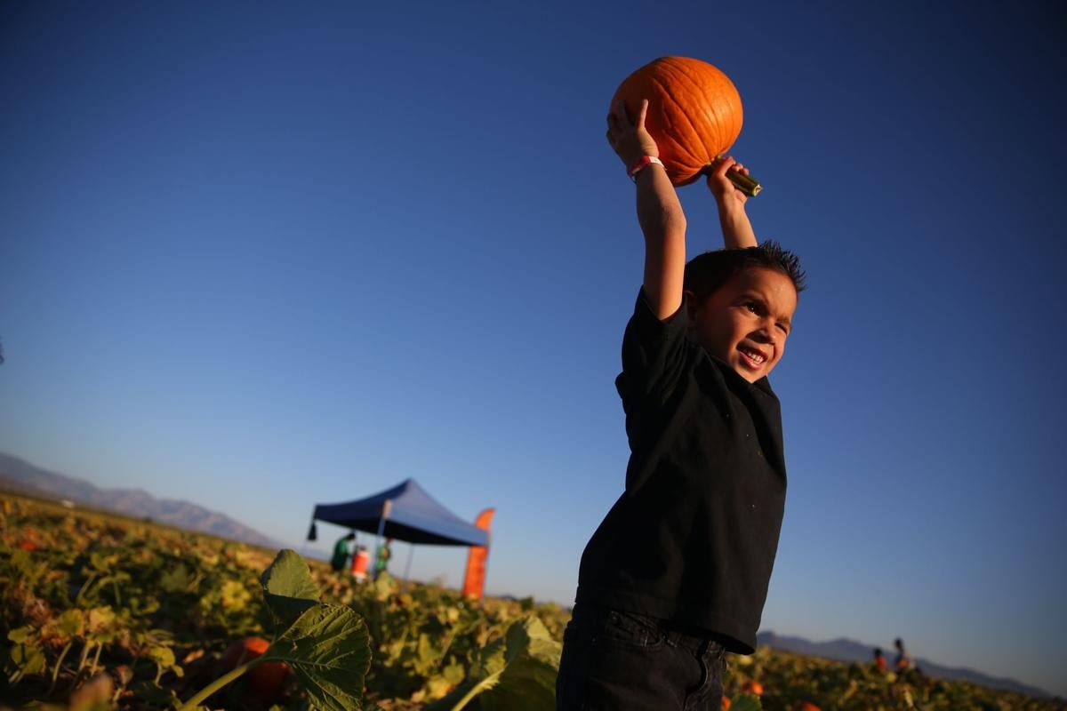 Best staff photos of 2019, Arizona Daily Star