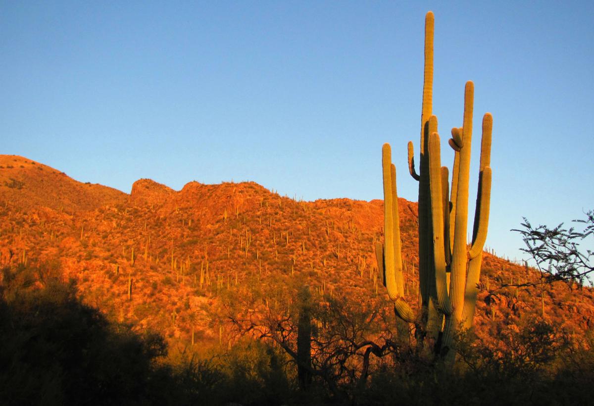 Top trails: Ventana Canyon Trail