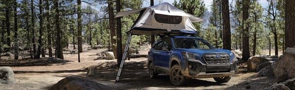 2022 Subaru Forester Wilderness