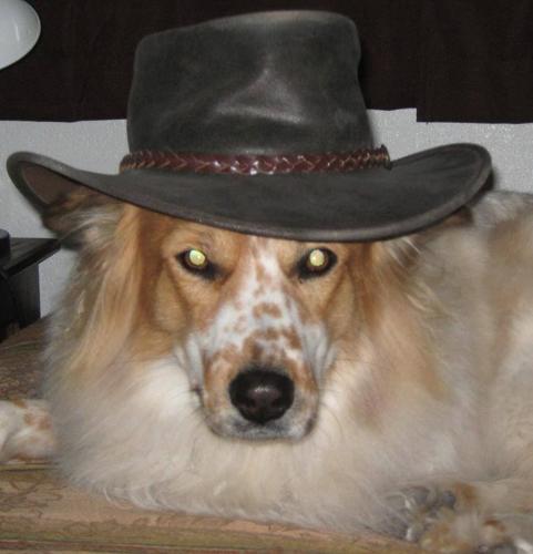 Happy National Dog Day!