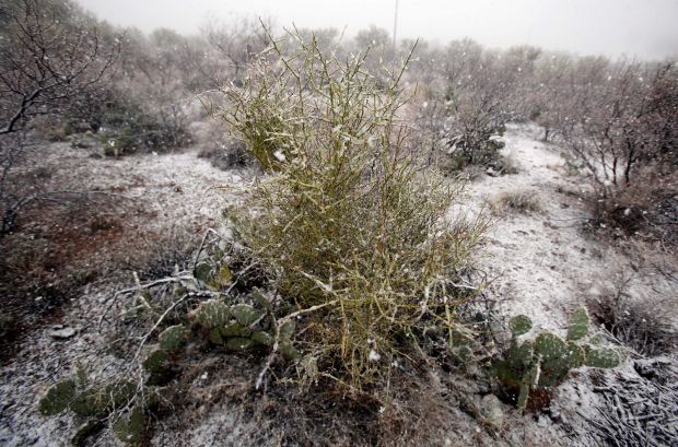 Snow falls in Tucson area