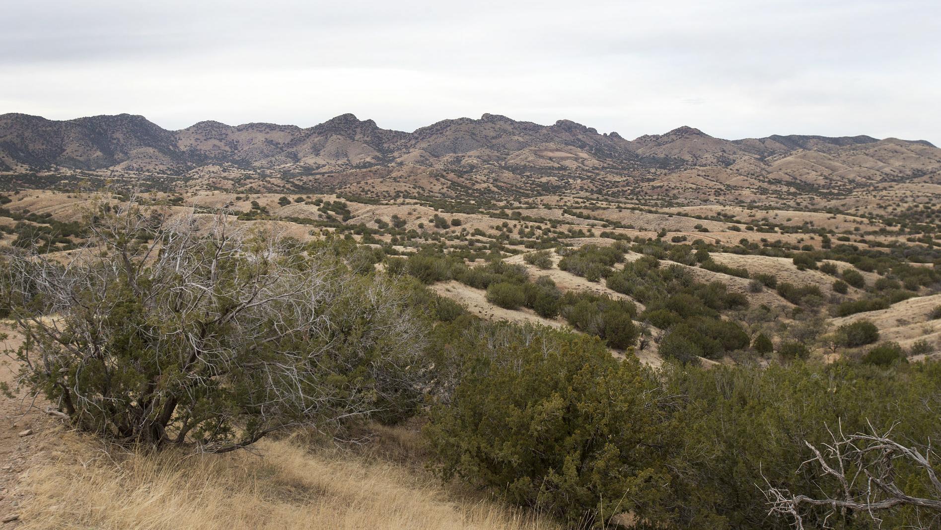 Appellate court blocks proposed Rosemont Mine south of Tucson
