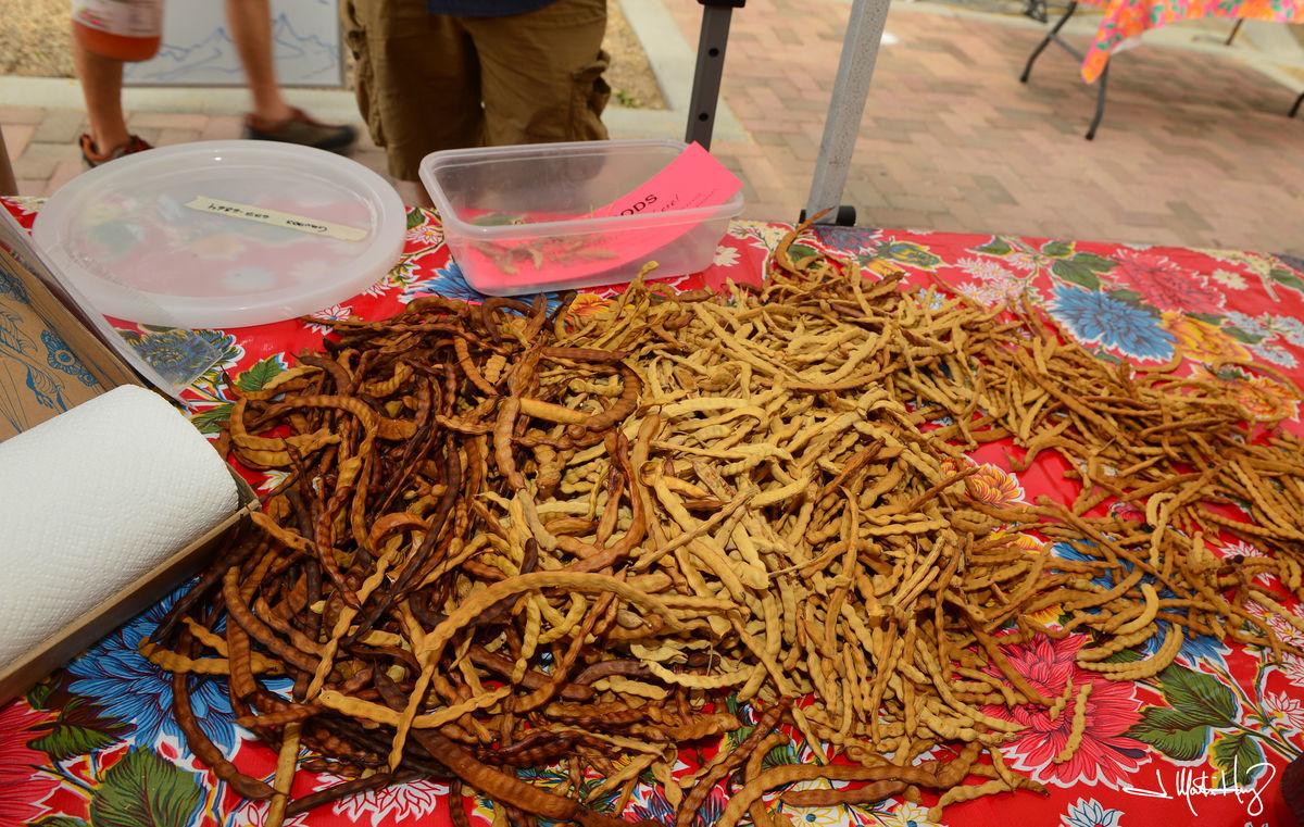 Where you can mill your mesquite pods into flour Food & Cooking