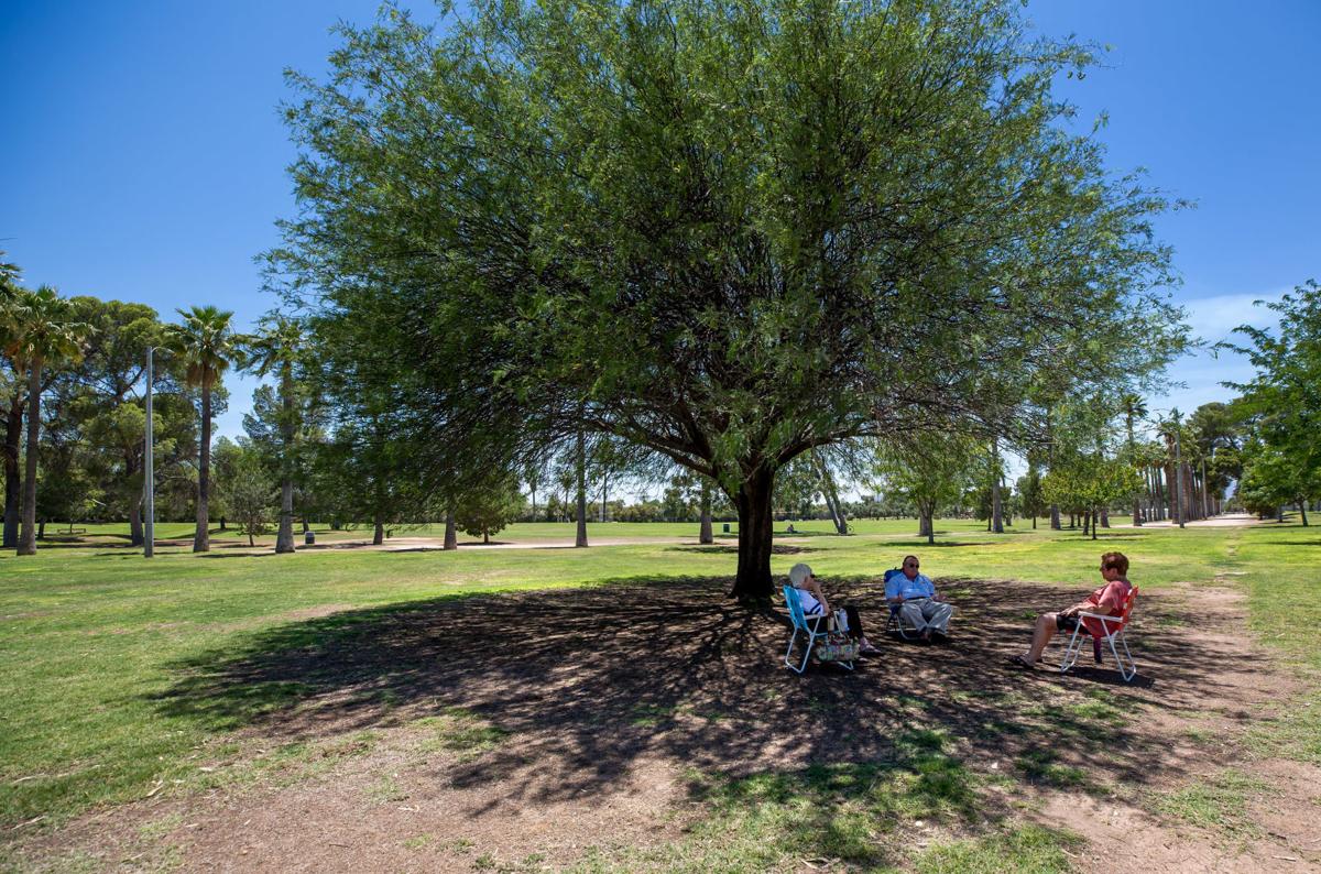 Triple-digit heat back in Tucson forecast