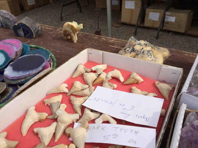 Animals of the Gem Show