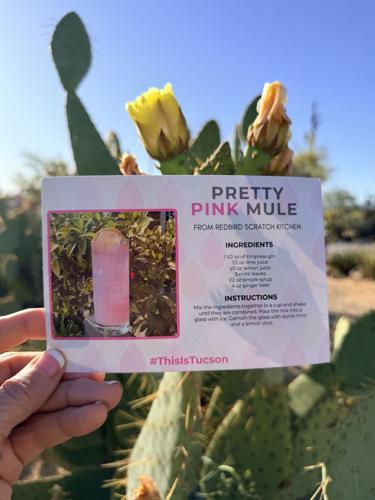 🌵 Patio season is here — and we made something for you