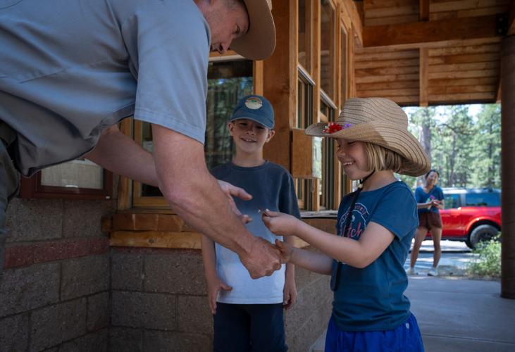 Grand Canyon shows its resilience a year after massive Dragon Bravo Fire