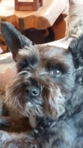 Happy National Dog Day!