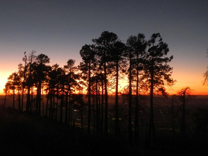 Visit to Summerhaven